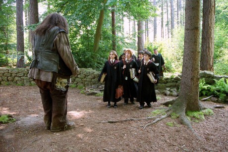 hagrid jako u_itel.jpg